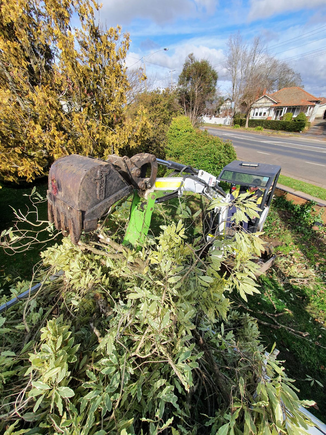 A compact track loader using a hydraulic thumb attachment to handle and clear tree branches and debris in a residential area, demonstrating the versatility and efficiency of the attachment in landscaping and cleanup operations